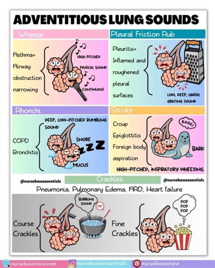 Lung Sounds, Adventious Breath Sounds Quiz