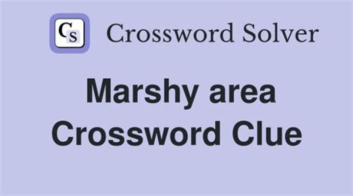 Marshy area Crossword Clue