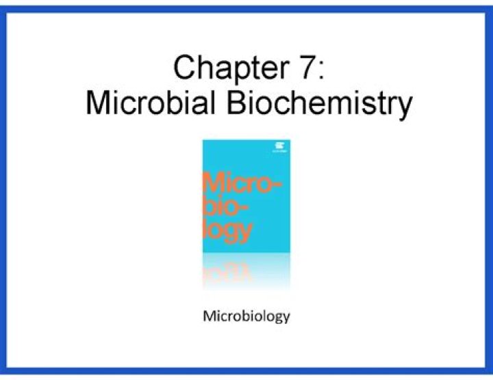 Microbiology Chapter 7 Quiz