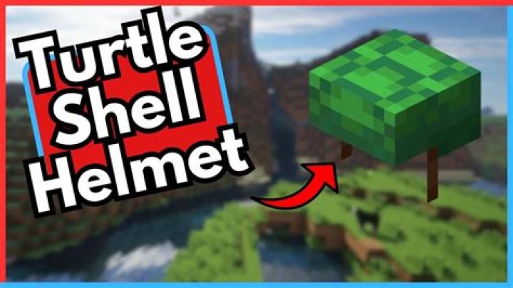 Minecraft: How To Get A Turtle Shell Helmet