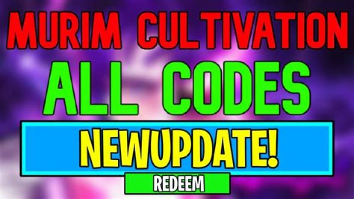Murim Cultivation Codes (February 2024)