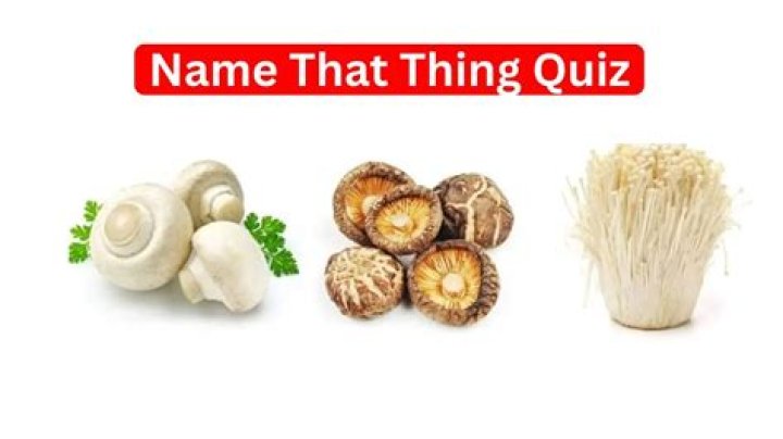 Name That Thing Quiz