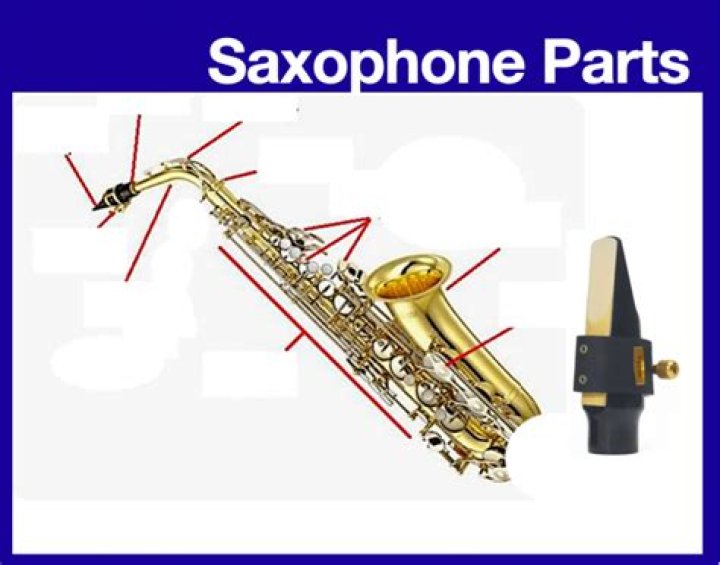 Name the parts of the saxophone Quiz