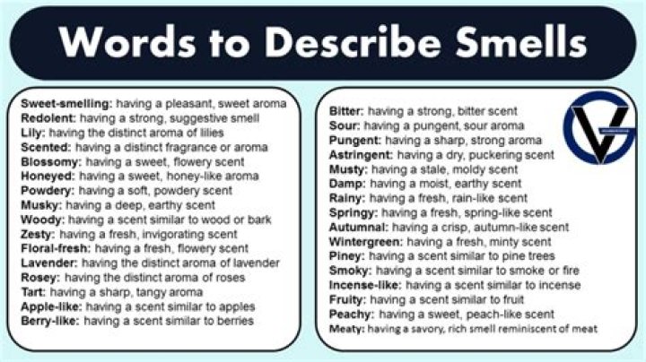 Neckwear that smells nice Crossword Clue