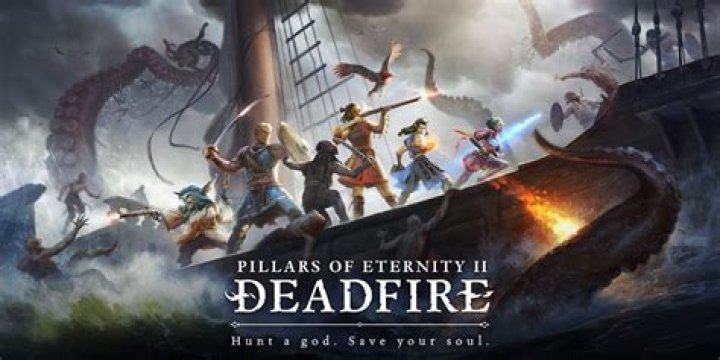 Pillars of Eternity II: Deadfire – Ships (Comparision)