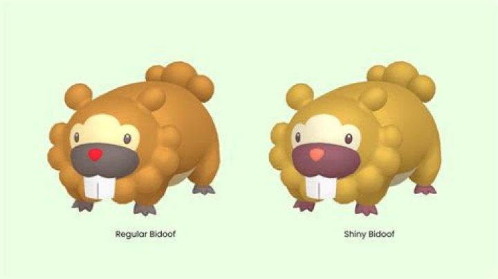 Pokemon Go: How To Catch A Shiny Bidoof