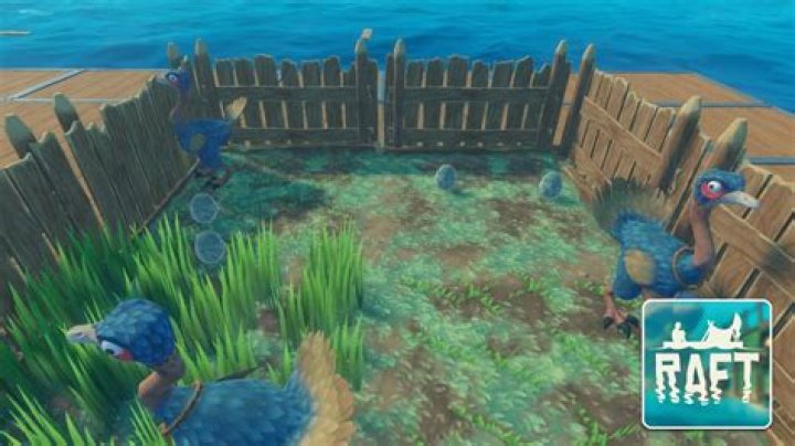 Raft: How to Get Wool