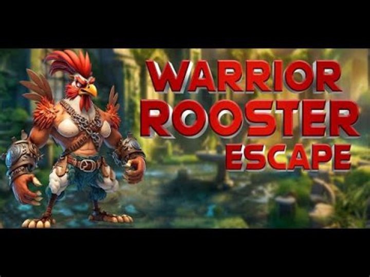 Rooster Warrior - Adventure Games
