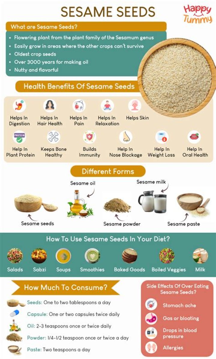 Sesame seed paste Word Hike – Answers