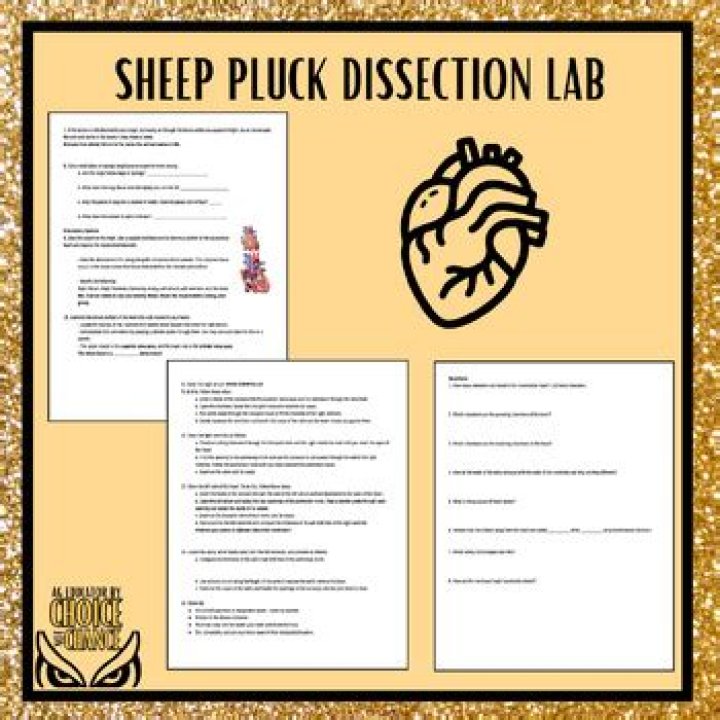 sheep pluck Quiz