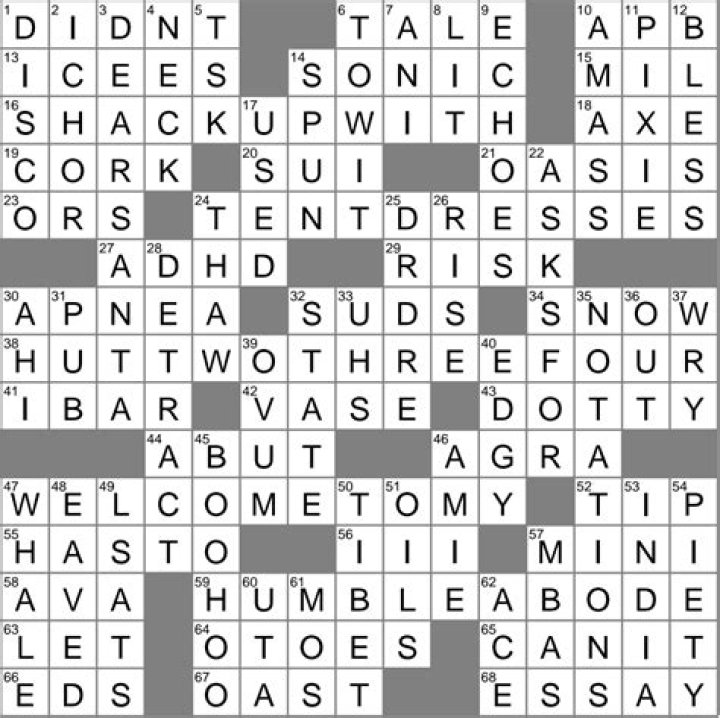 Skin blemish, slangily crossword clue answer