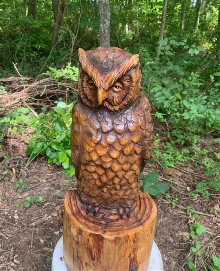Slender piece of wood Crostic Answer
