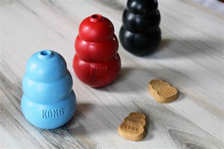 Something a puppy chews Top 7 : Answers