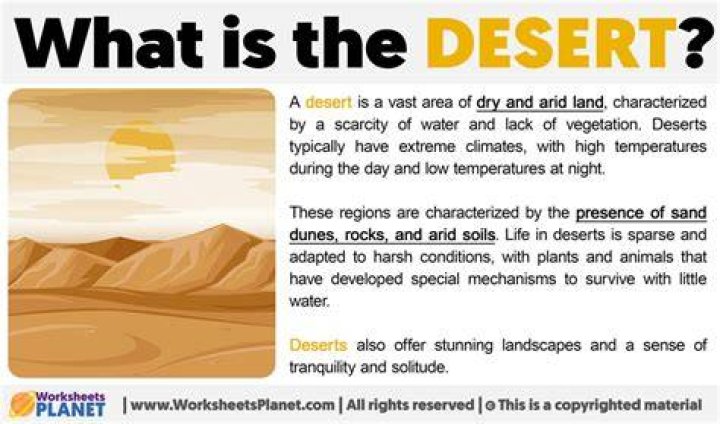 Something you see in the desert Top 7 : Answers