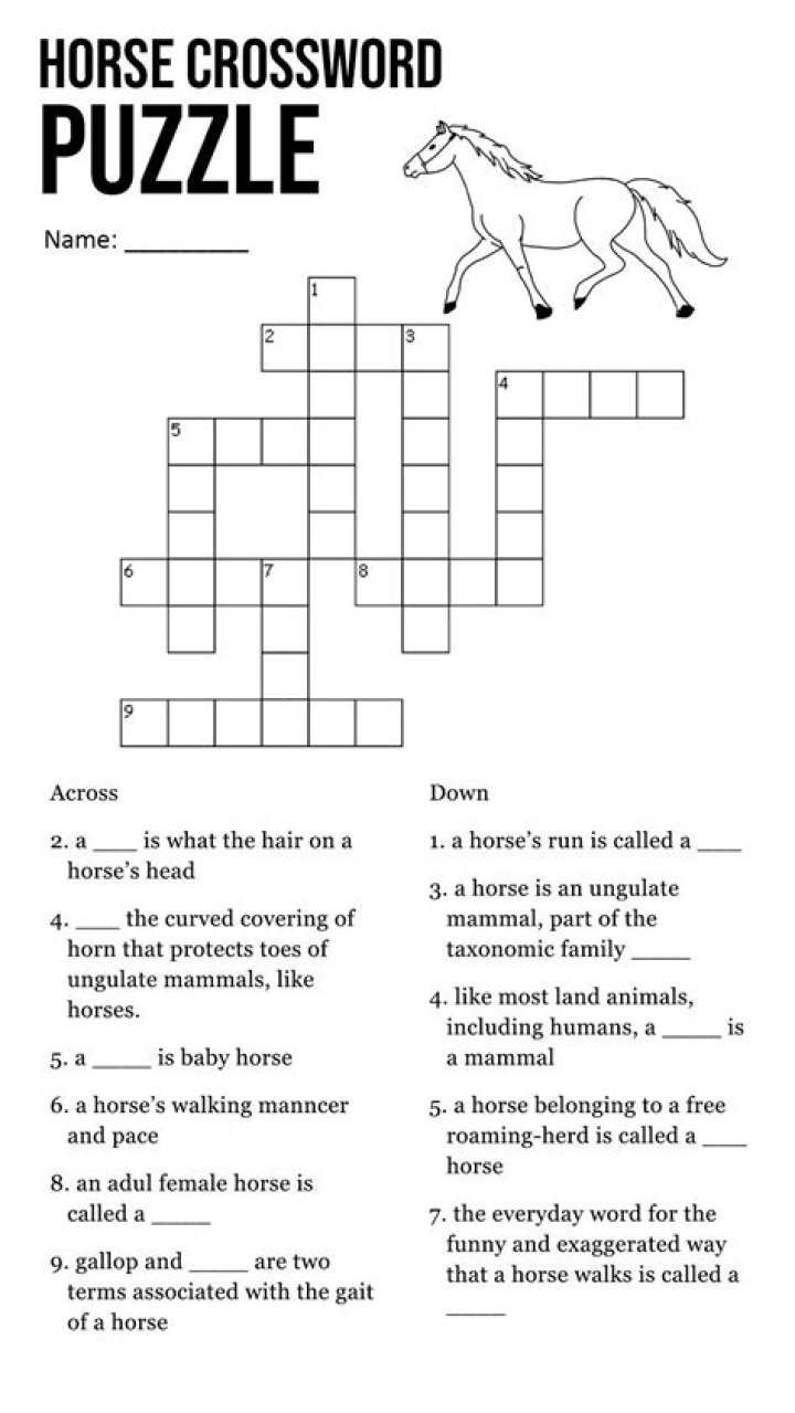 Speedy horse Crossword Clue and Answer
