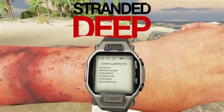 Stranded Deep: How To Fix Broken Bones