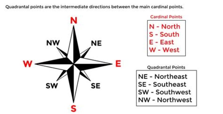 Title of a cardinal Figgerits Answer