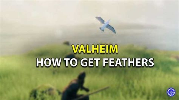 Valheim: How To Get Feathers Easily