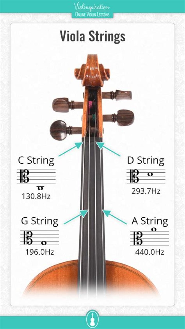 Viola Open String Quiz
