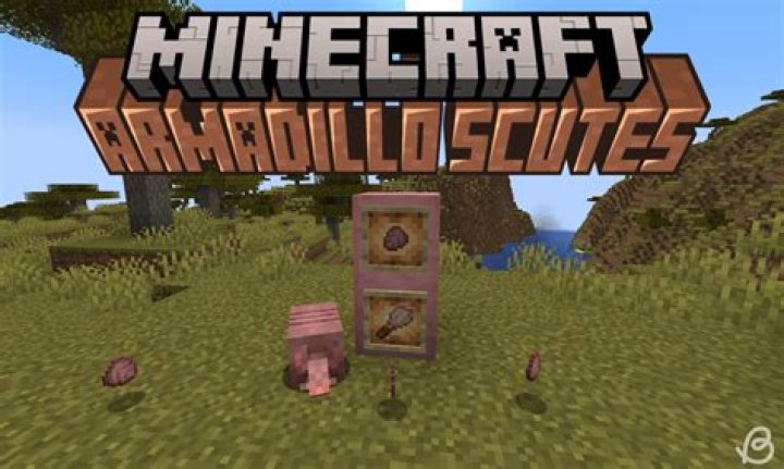 What are Scutes & How to Get Scutes in Minecraft?