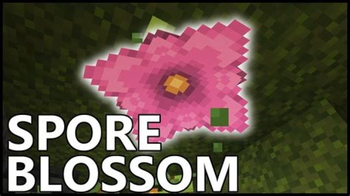 What Are Spore Blossoms In Minecraft & How To Get Them?