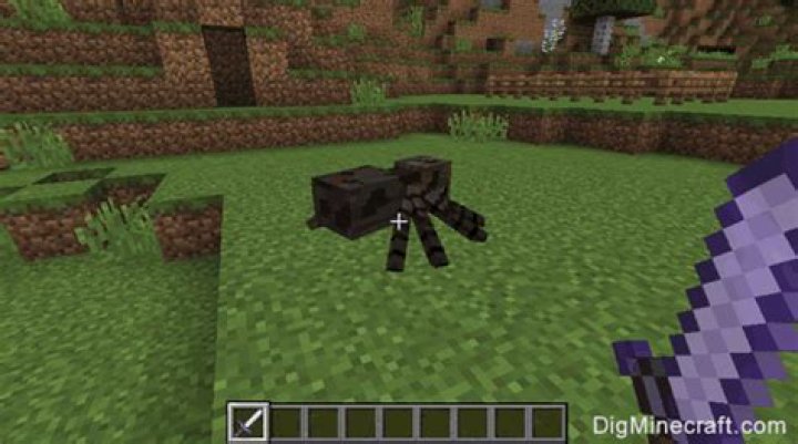 What does Bane of Arthropods do in Minecraft?