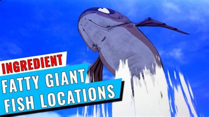Where To Find Fatty Giant Fish