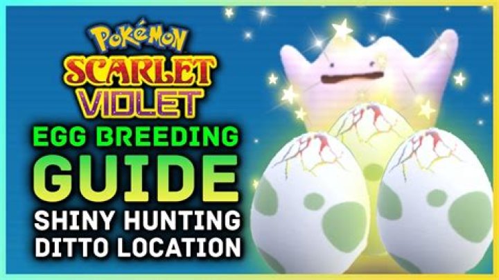 Why is my Pokémon not breeding with Ditto?