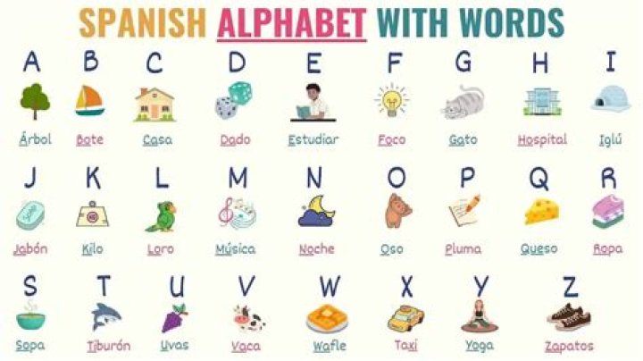 Words Created Using the Letters in 'sponges'