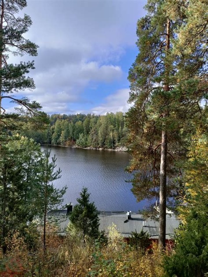 Words Of Wonders Finland Nuuksio National Park Level 72 Answers • Game Solver